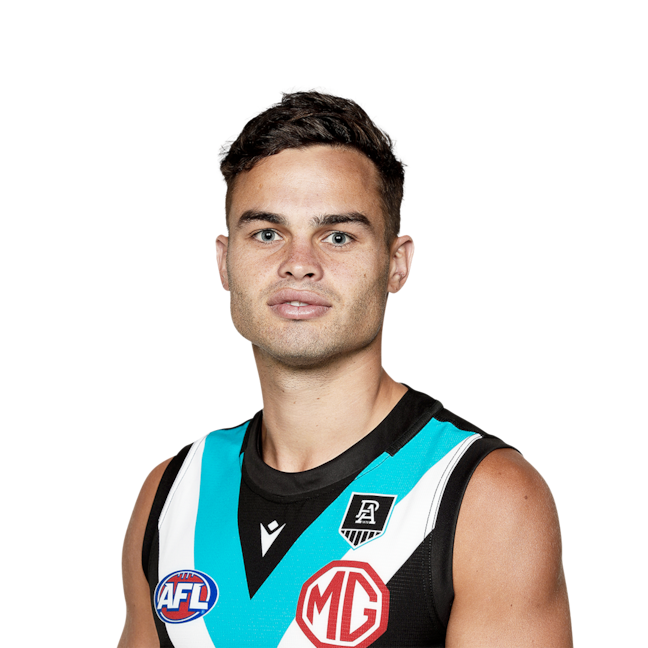 Karl Amon profile picture